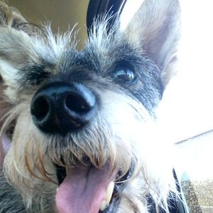 Meet your Posher, Carissa